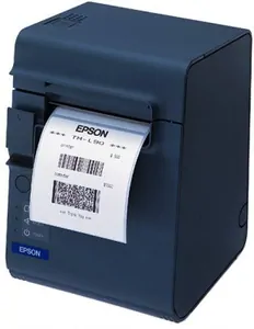 Замена памперса на принтере Epson TM-L90 в Екатеринбурге